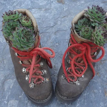 Chez Corine Marque Bastampe Luz-Saint-Sauveur